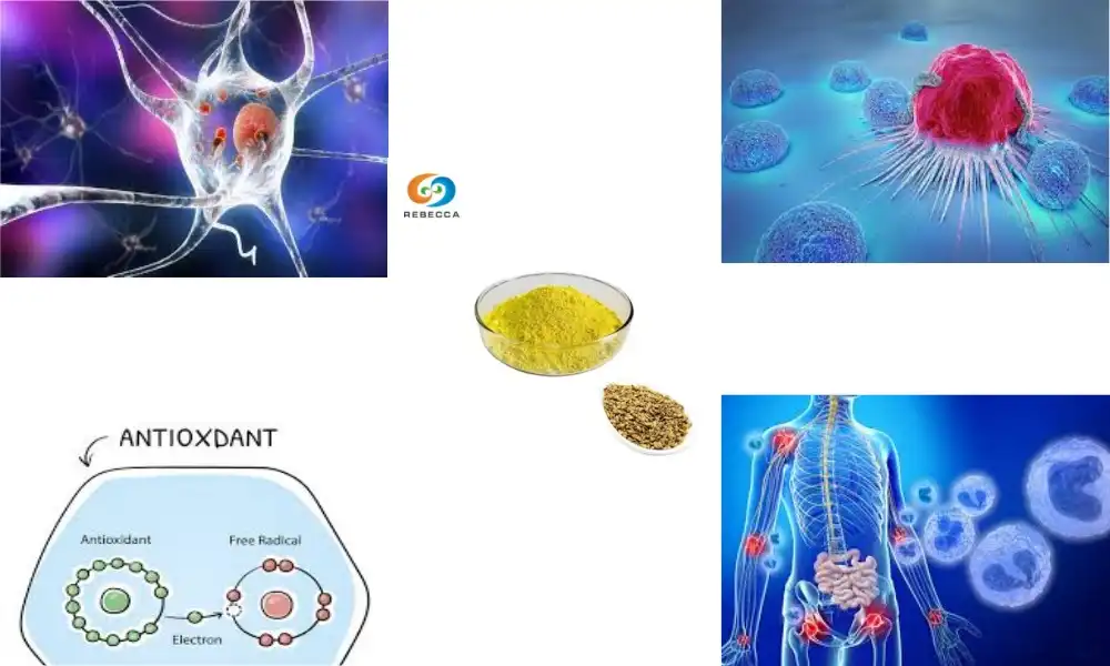 What is kaempferol powder good for?